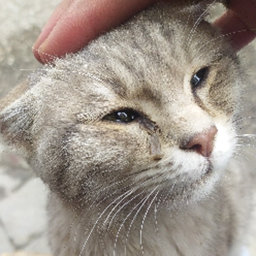 уσυ ℓσѕт#1270159477#4382